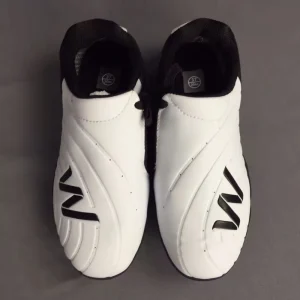 Adult Martial Arts Shoes, Taekwondo Training Shoes with Tie, Breathable Soft Bottom, Karata Shoes, White Sports Shoe,